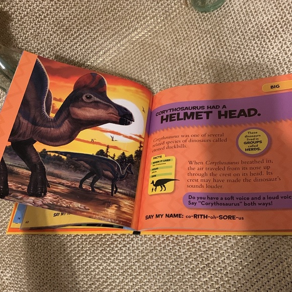 Brand new National Geographic kids hardcover, dinosaur book πππ - Picture 15 of 17